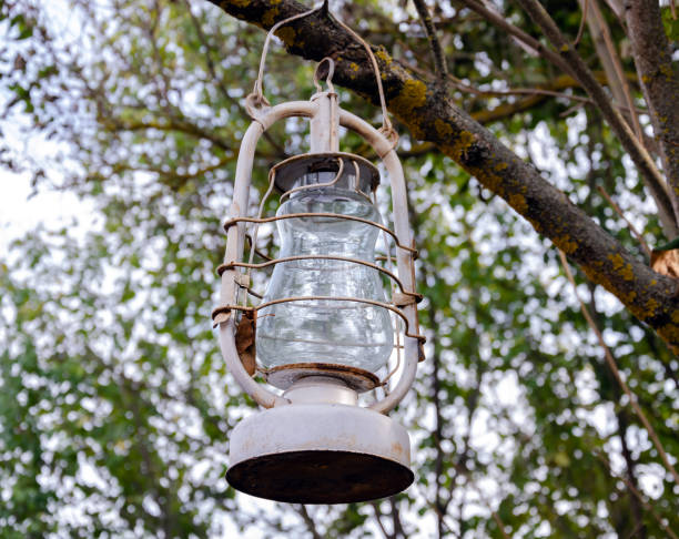istock kerosene lamp, vintage pattern hanging on a tree branch, 1203699123