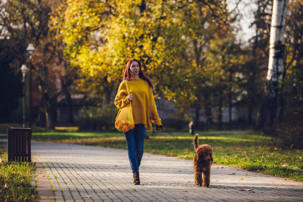 istock Female dog walker walking her dog 1203700936