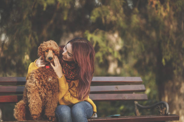 istock Pet owner checking her dog's teeth 1203702130
