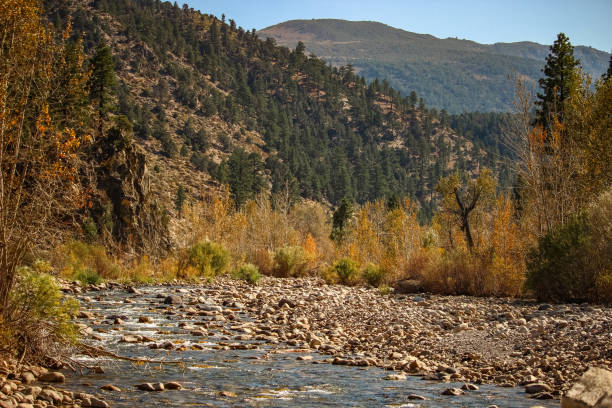 istock West Walker river in autumn colors. 1203703461