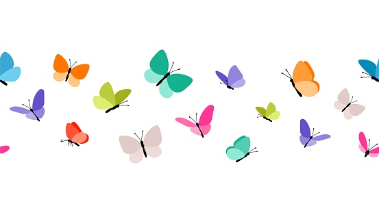 Color flying butterflies seamless pattern. Beautiful insects isolated on white background. Spring summer seasons butterfly vector border design