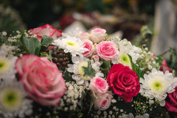 istock Colorful flowers and beautiful roses 1203707282