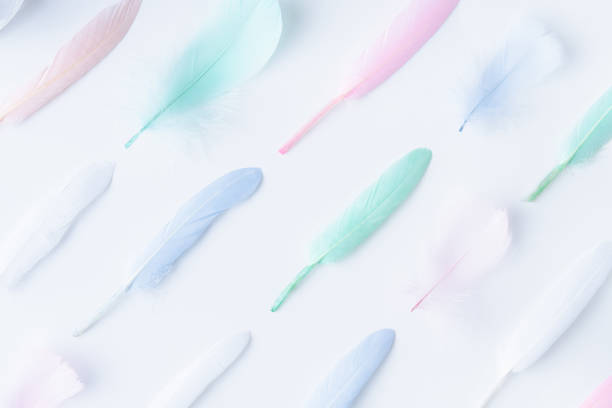 istock Flat lay of colored feathers arranged in diagonal rows 1203708677