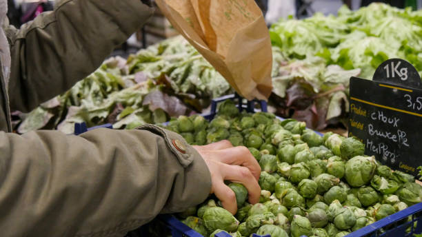 Brussels sprouts background.