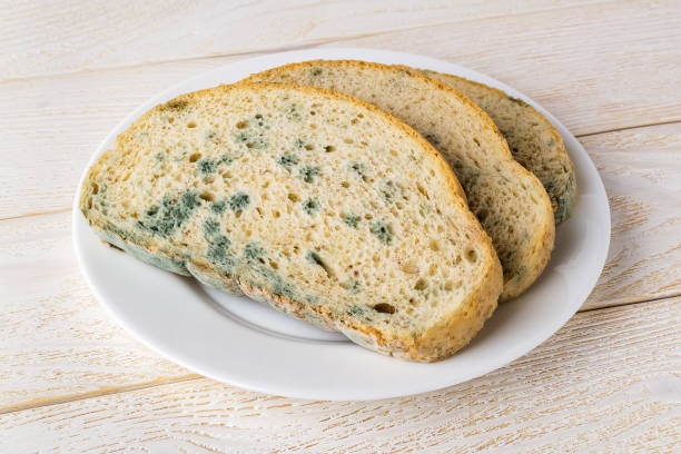 scheiben von abgestandenem brot mit grünem mehltau auf einer weißen untertasse über weißem holztisch. verdorbenes brot mit schimmel. schimmelpilz auf faulem brot. - schimmel stock-fotos und bilder