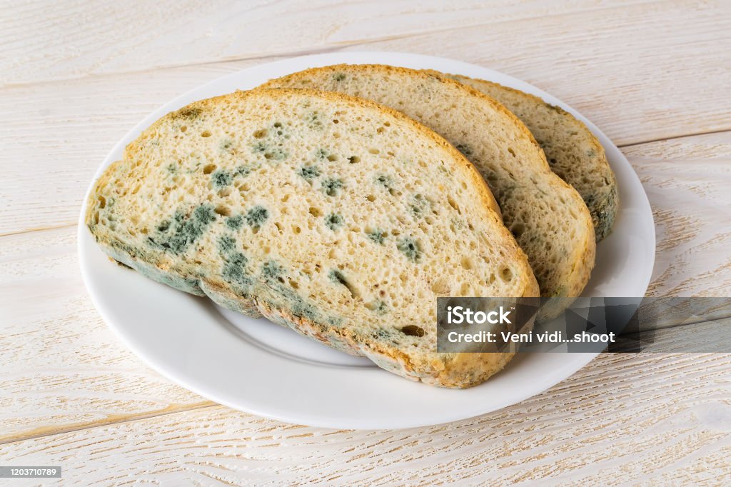 Slices of stale bread with green mildew on a white saucer over white wooden table. Spoiled bread with mold. Moldy fungus on rotten bread. Slices of stale bread with green mildew on a white saucer over white wooden table. Spoiled bread with mold. Moldy fungus on rotten bread. Front view. Fungal Mold Stock Photo