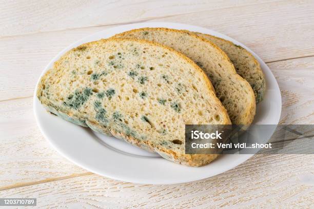 Slices Of Stale Bread With Green Mildew On A White Saucer Over White Wooden Table Spoiled Bread With Mold Moldy Fungus On Rotten Bread Stock Photo - Download Image Now