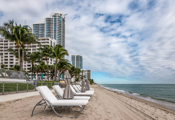 Beach chairs on Hollywood beach, Florida. A row of white luxury beach chairs and grey umbrellas on an empty beach in Hollywood, Florida. Cloudy sky. On the left side high modern architecture and green coconut palm trees. No people. hollywood florida stock pictures, royalty-free photos & images