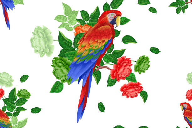 бесшовный узор. ара на ветвях розового дерева - vibrant color birds wild animals animals and pets stock illustrations