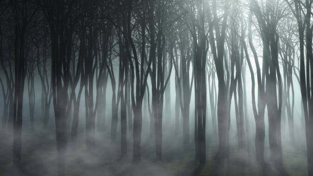 istock 3D foggy forest landscape 1203714180