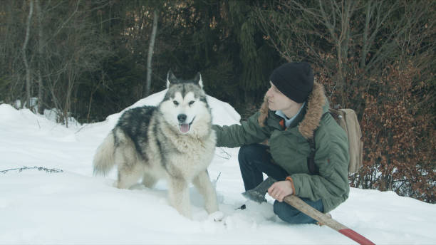 istock The guy walks with his dog in the forest 1203714391