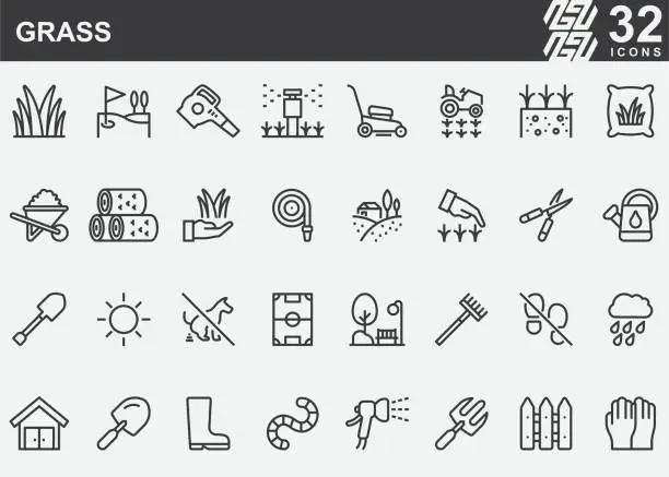 Vector illustration of Grass Line Icons