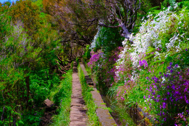 View over the mountains near Rabaçal and the Levada das 25 Fontes and Levada do Risco walkways on Madeira island during a beautiful summer day.