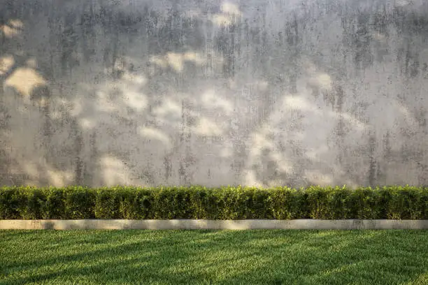 Concrete wall with tree shadow on pebbles & grass. 3D illustration