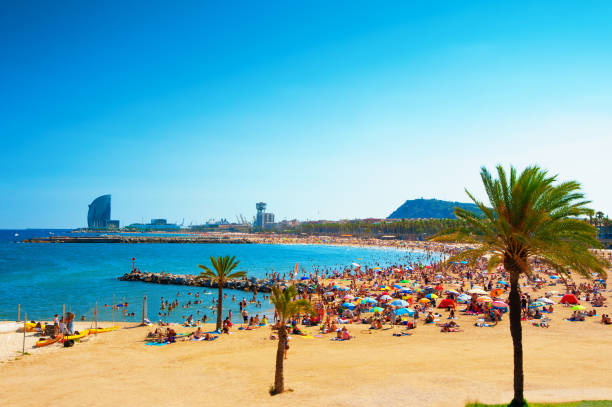 istock Barcelona beach on sunny summer day 1203719249