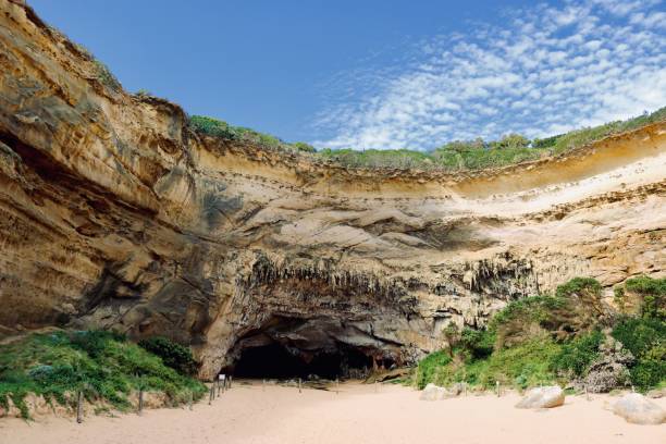 great ocean road, australien - australian culture landscape great ocean road beach stock-fotos und bilder