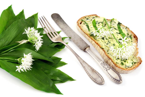 istock Bunch of wild garlic and herbal scissors on isolated white background. 1203719833