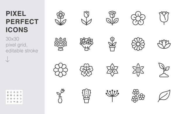 blume linie symbol gesetzt. rose, tulpe in vase, obststrauß, frühlingsblüte, kaktus minimal vektor illustration einfache umriss zeichen für blumen lieferung anwendung. 30x30 pixel perfekt. bearbeitbarer strich - blumen stock-grafiken, -clipart, -cartoons und -symbole