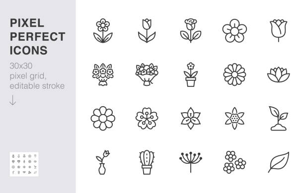 zestaw ikon linii kwiatów. róża, tulipan w wazonie, bukiet owoców, wiosenny kwiat, kaktus minimal wektor ilustracja proste znaki zarysowe dla aplikacji dostawy kwiatów. 30x30 piksel doskonały. edytowalny obrys - kwiat stock illustrations