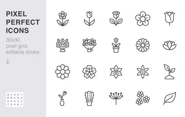 Vector illustration of Flower line icon set. Rose, tulip in vase, fruit bouquet, spring blossom, cactus minimal vector illustration Simple outline signs for flowers delivery application. 30x30 Pixel Perfect. Editable Stroke