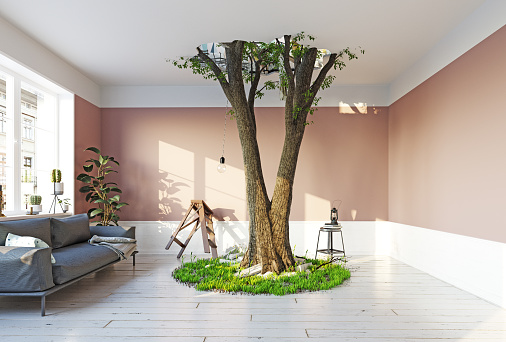 giant tree in the room,breaking the ceiling.3d rendering creative concept