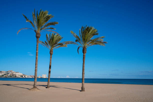 istock Cullera beach Sant Antoni Antonio in Valencia Spain 1203722281