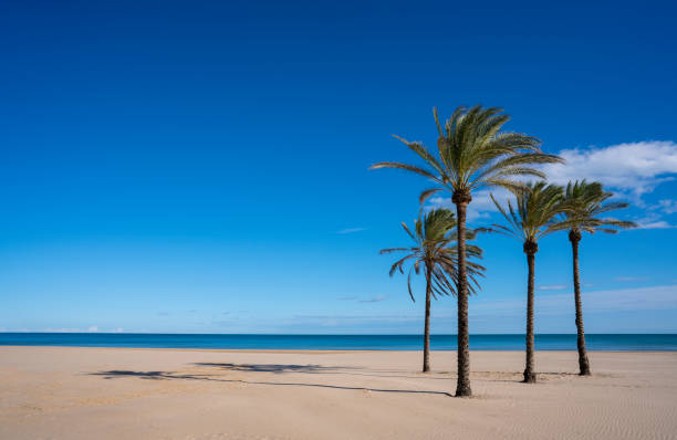 istock Cullera beach Sant Antoni Antonio in Valencia Spain 1203722566