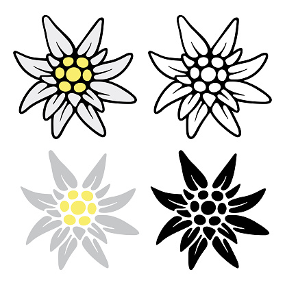 Set icons of Edelweiss. Simple illustration of Edelweiss vector icon for Internet. Traditional Bavarian symbol.