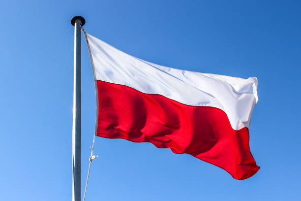 Polska flaga narodowa macha na wietrze przed czystym błękitnym niebem – zdjęcie