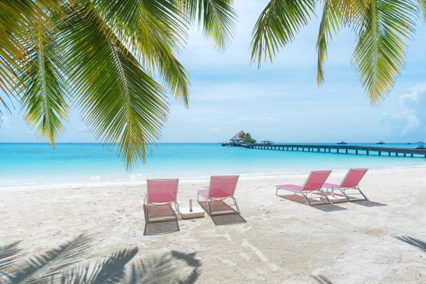 istock Summer beach holiday and vacation scene 1203723864