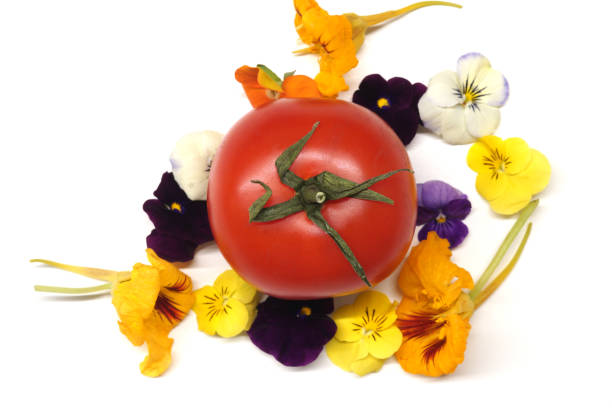 Healthy vegetables and fruits photo on white background. Easy to crop for all social media sizes.