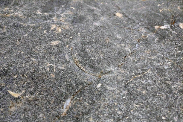 istock Texture of old stone floor with dirt, dust and scratches 1203724195