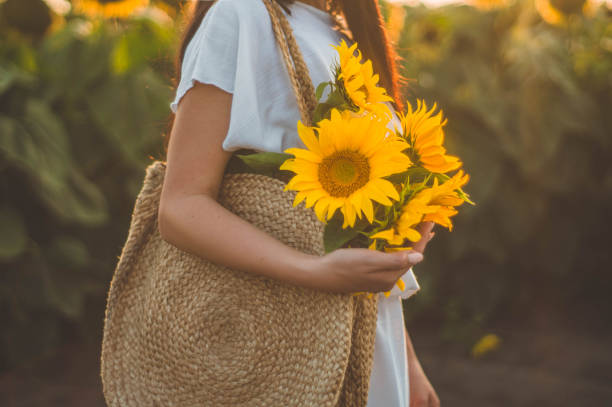 hermosa joven en un campo de girasoles. retrato de una joven al sol - pollen forecast fotografías e imágenes de stock