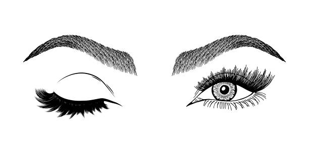 Illustration with woman's eye wink, eyebrows and eyelashes. Illustration with woman's eye wink, eyebrows and eyelashes. Makeup Look. Tattoo design. Logo for brow bar or lash salon. drawing of eye wink stock illustrations