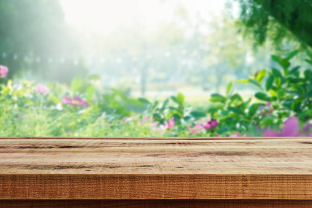 istock Blurred nature flower garden background and empty wooden table. 1203725416