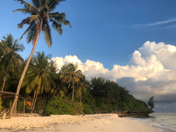 istock early morning glow over the tropical island beach 1203725606