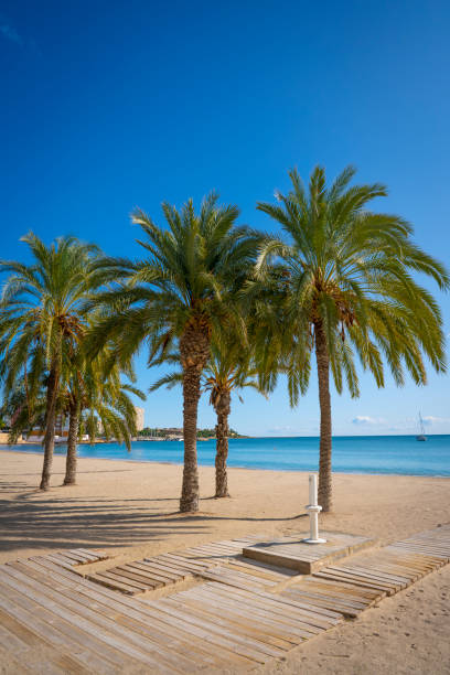istock Playa Albufereta Beach in Alicante Spain 1203729068