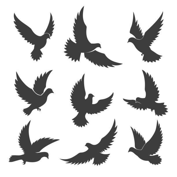 Dove spiritual silhouettes Dove spiritual symbols. Vector religious spiritual symbol silhouettes, flying holy dove of peace or pigeon of hope birds dove earth globe symbols of peace stock illustrations