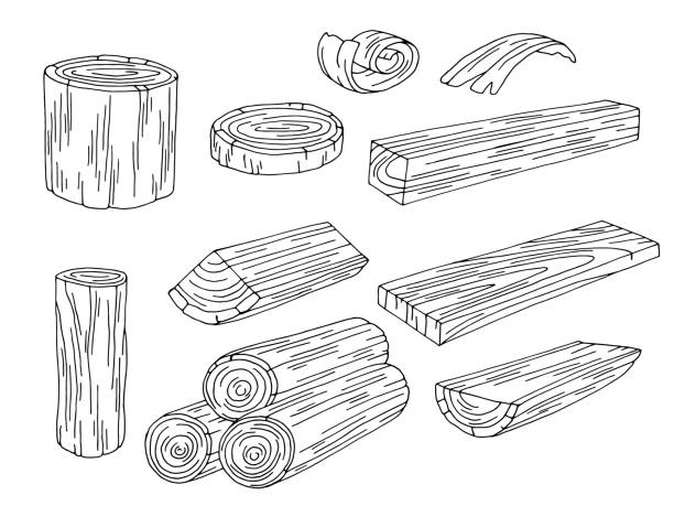 로그 세트 그래픽 검정 색 흰색 고립 스케치 일러스트 벡터 - bark isolated part of white stock illustrations