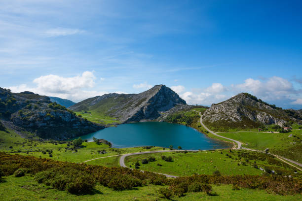 Enol lake in mountains with cows and sheeps on green pasture stock photo