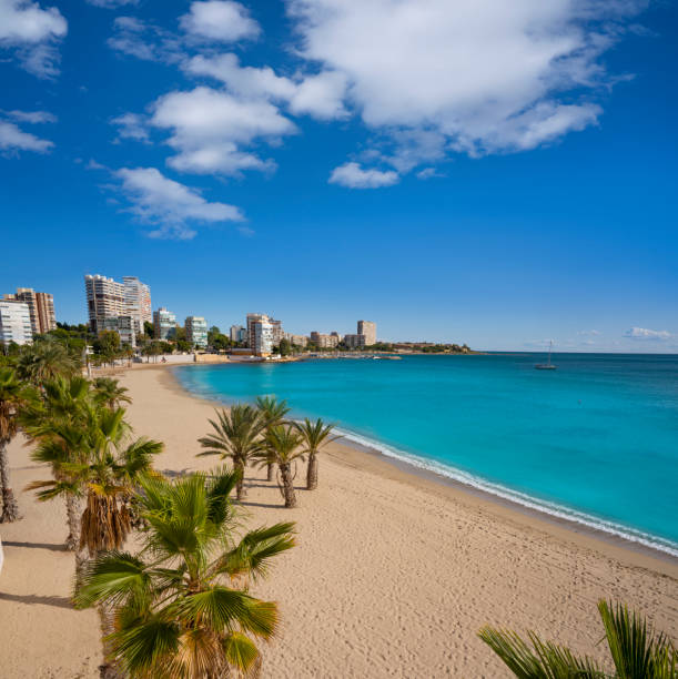 istock Playa Albufereta Beach in Alicante Spain 1203730200