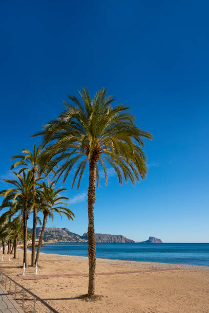 istock Altea beach in Alicante Mediterranean Spain 1203731320