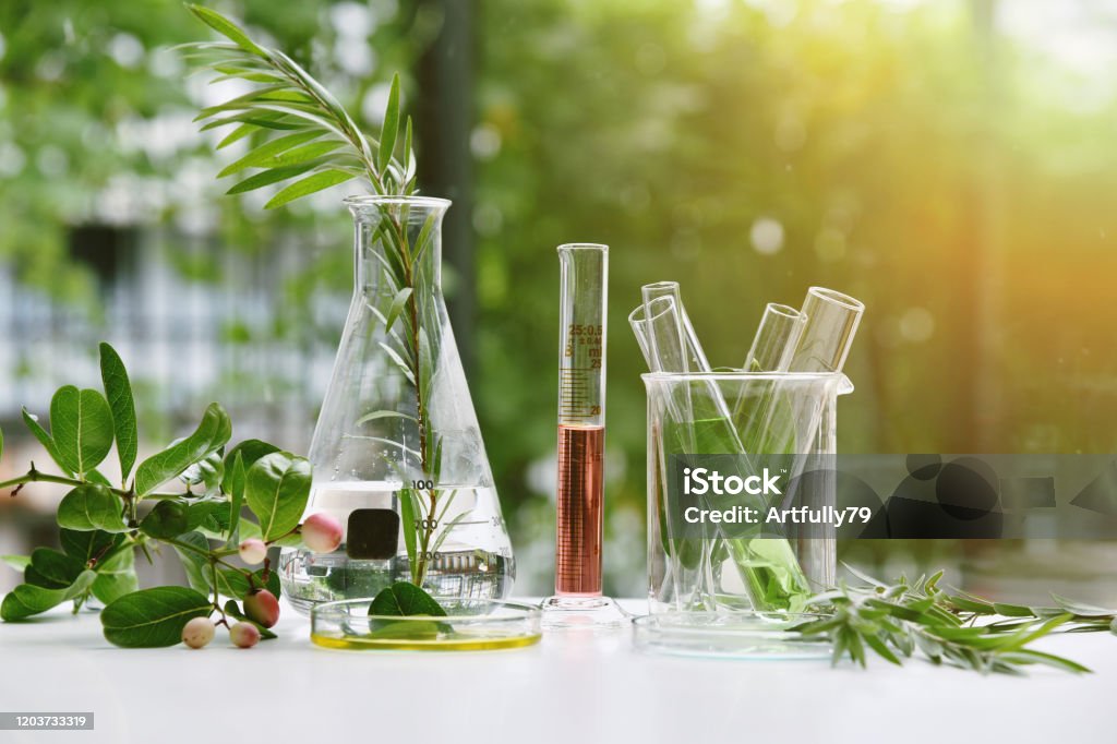 Natural drug research, Natural organic and scientific extraction in glassware, Alternative green herb medicine, Natural skin care beauty products, Laboratory and development concept. Nature Stock Photo