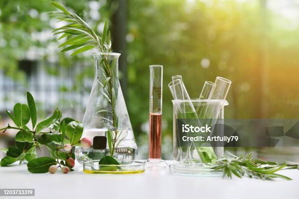 Natural Drug Research Natural Organic And Scientific Extraction In Glassware Alternative Green Herb Medicine Natural Skin Care Beauty Products Laboratory And Development Concept Stock Photo - Download Image Now