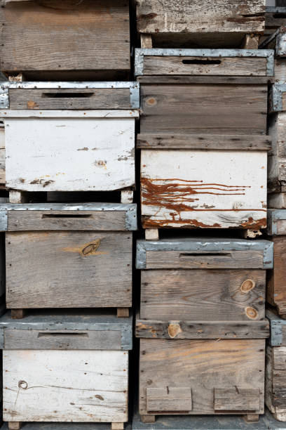 istock Old wooden boxes background. Old beehives. 1203743714