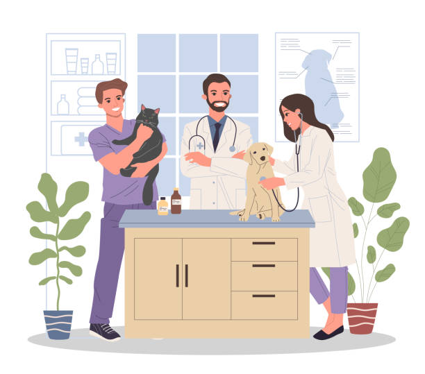 illustrations, cliparts, dessins animés et icônes de illustration de vecteur de bureau vétérinaire - pets dog office vet