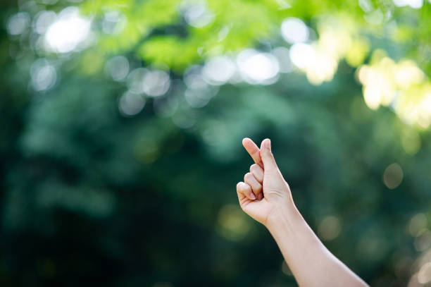 istock The hand that expresses pure love Clean white hands, love concepts 1203747036