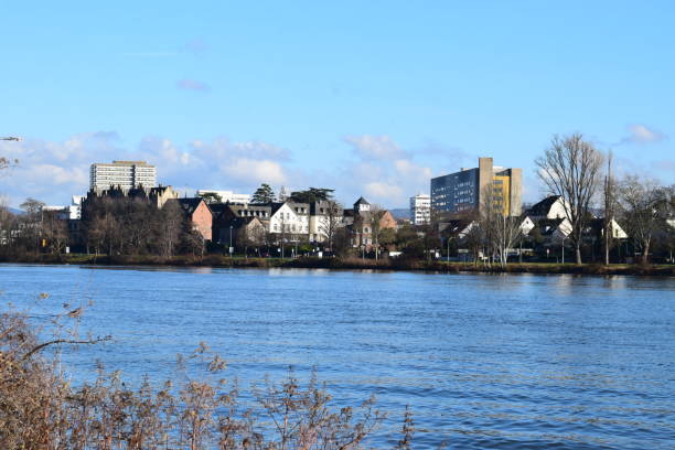 istock Mosel river in Koblenz 1203751395