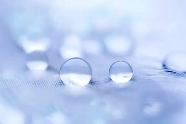 Photo of Beautiful transparent water drops or rain water on soft background. Macrophotography. Desktop background. Selective focus.