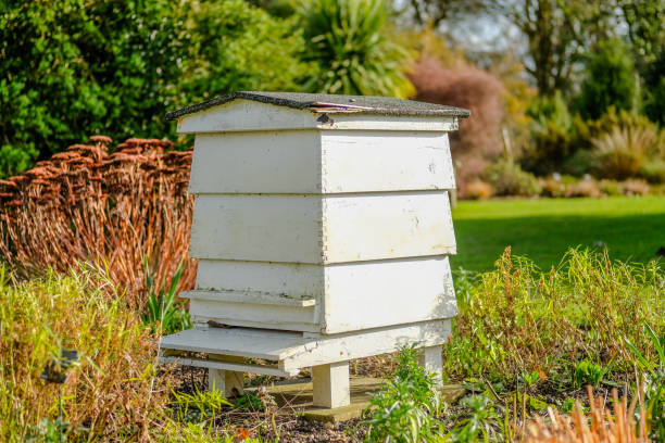 istock Large wooden Beehive seen located in a large garden. 1203752601